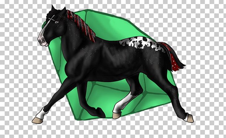 Stallion Mustang Mare Halter Pony PNG, Clipart, Bloodline Champions, Bridle, English Riding, Equestrian, Equestrian Sport Free PNG Download