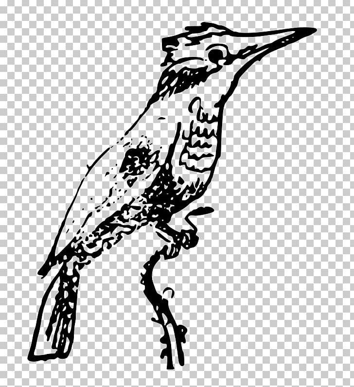 Beak Belted Kingfisher Bird PNG, Clipart, Animals, Art, Artwork, Beak, Belted Kingfisher Free PNG Download