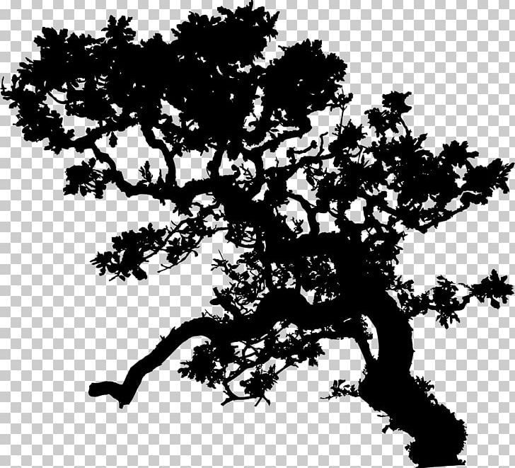 Branch Tree Leaf PNG, Clipart, Black And White, Bonsai, Branch, Deciduous, Ecology Free PNG Download