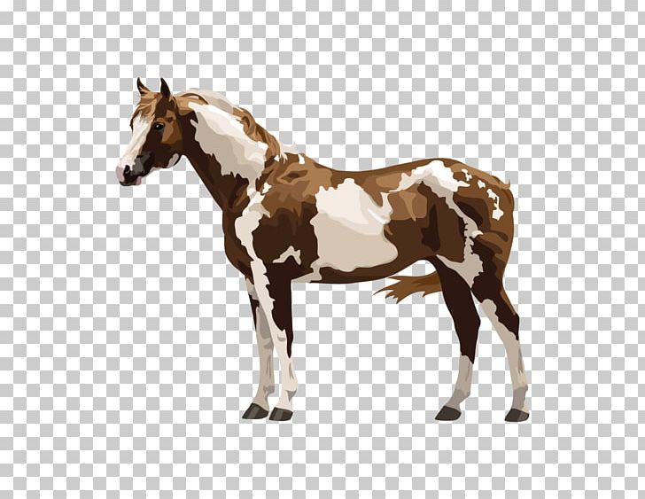 Mustang Arabian Horse Mule Foal Stallion PNG, Clipart, Arabian Horse, Breyer Animal Creations, Colt, Equestrian, Foal Free PNG Download