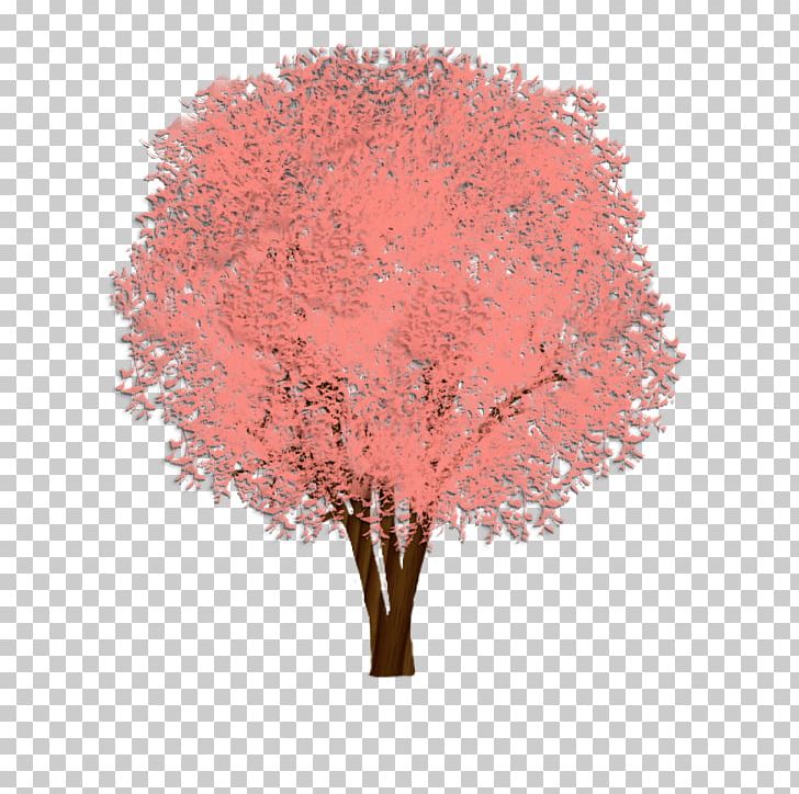 Shade Tree Cedar Elm Weeping Fig PNG, Clipart, Common Fig, Elm, Ficus Rubiginosa, Fig Trees, Nature Free PNG Download