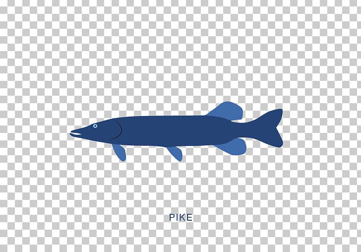 Fish Sardine Animal PNG, Clipart, Anchovy, Animal, Animals, Bass, Blue Free PNG Download