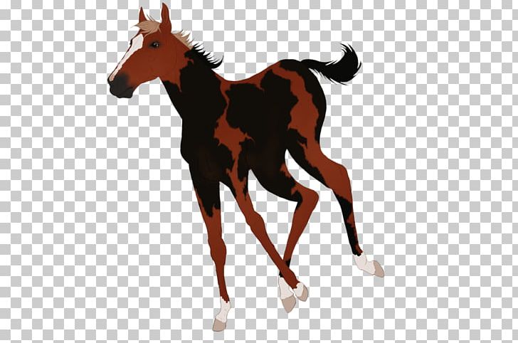 Foal Mustang Colt Stallion Mare PNG, Clipart, Bridle, Colt, Foal, Halter, Horse Free PNG Download