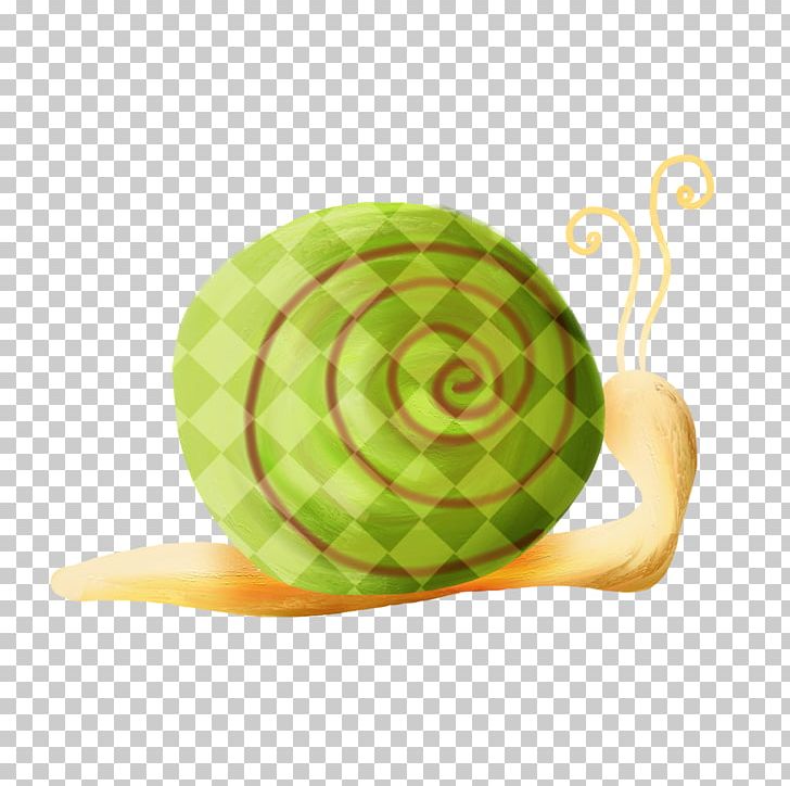 Snail Orthogastropoda Mollusc Shell PNG, Clipart, Animals, Cartoon, Circle, Download, Google Images Free PNG Download