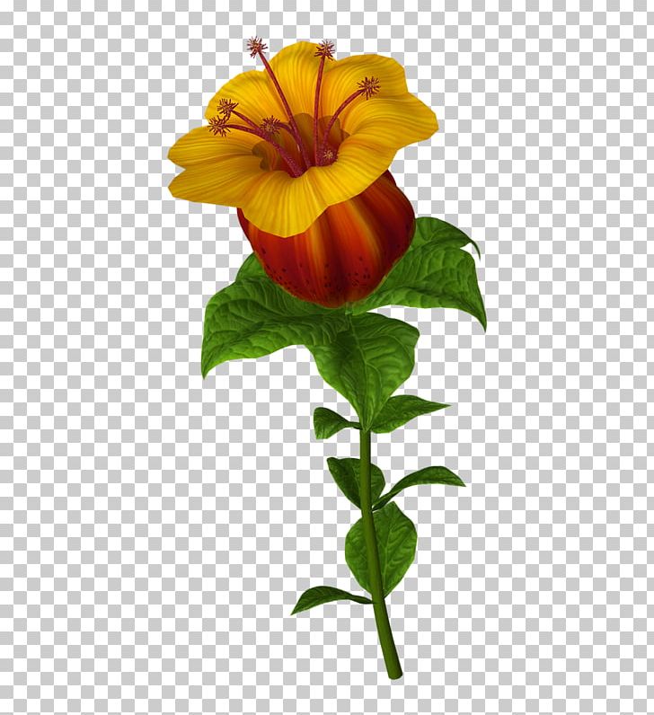 Yellow Drawing Green PNG, Clipart, Animated Film, Cartoon, Color, Cut Flowers, Daylily Free PNG Download