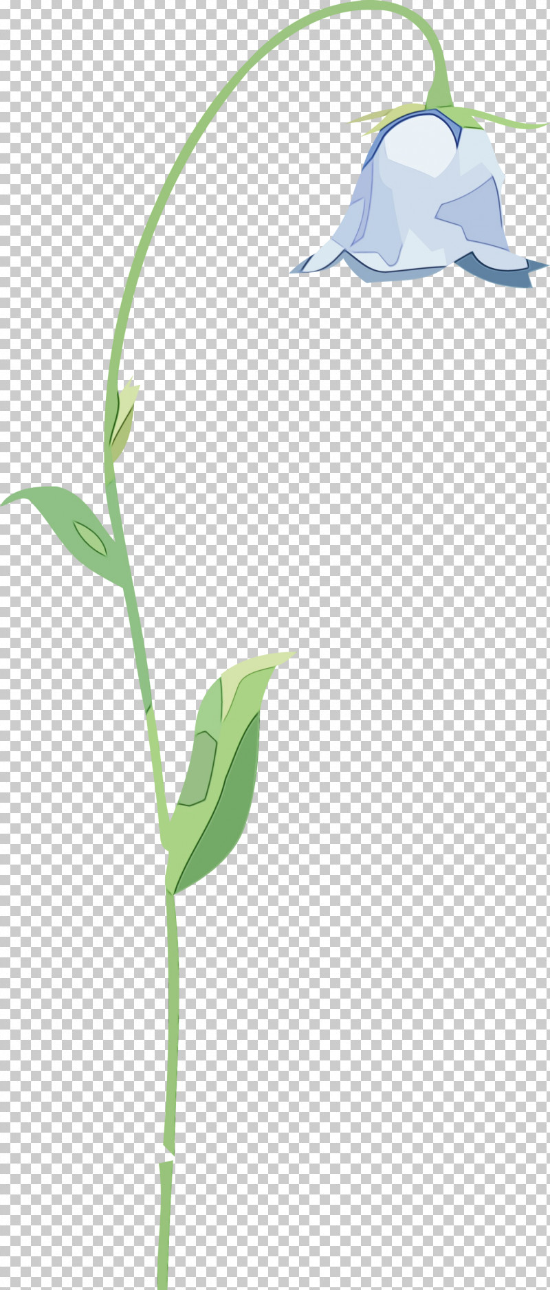 Flower Plant Stem Grasses Leaf Lilac PNG, Clipart, Branching, Flora, Flower, Grasses, Leaf Free PNG Download