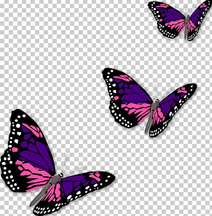 Monarch Butterfly PNG, Clipart, Art, Brush Footed Butterfly, Butterflies And Moths, Butterfly, Drawing Free PNG Download