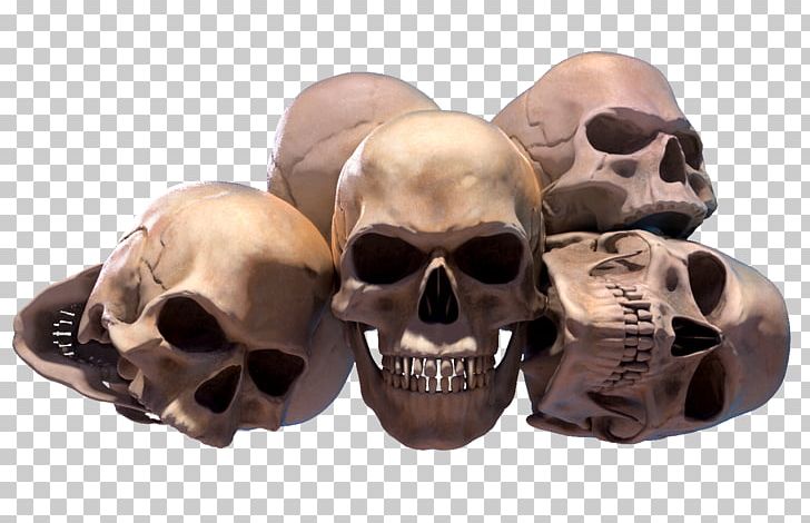 Skull PNG, Clipart, Bone, Dimensions, Fantasy, Format, Grp Free PNG Download