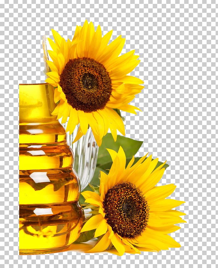 Sunflower Seed Cooking Oil Food Sunflower Oil PNG, Clipart, Castor Oil, Common Sunflower, Communication Design, Coo, Cooking Free PNG Download