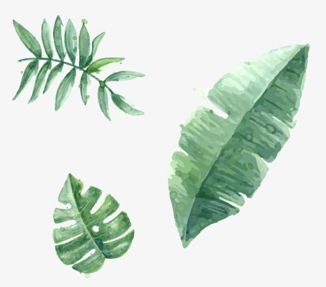 Hand Painted Green Leaves PNG, Clipart, Green, Green Clipart, Green Clipart, Green Leaves, Hand Clipart Free PNG Download
