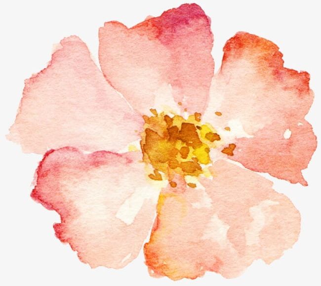 Hand-painted Watercolor Flower Pink PNG, Clipart, Flower, Flower Clipart, Hand, Hand Painted, Hand Painted Clipart Free PNG Download