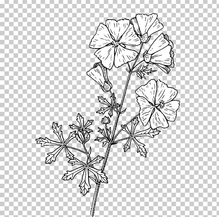 Twig Floral Design Cut Flowers Plant Stem PNG, Clipart, Area, Black And White, Branch, Cut Flowers, Drawing Free PNG Download
