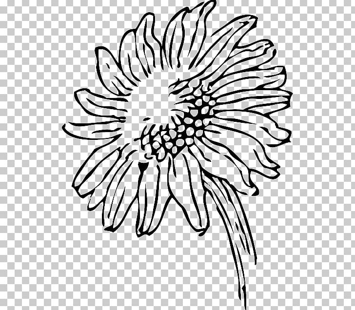 Drawing PNG, Clipart, Black, Black And White, Black White, Chrysanths, Computer Icons Free PNG Download