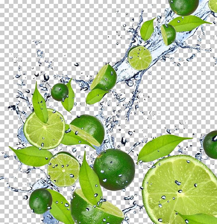 Juice Lemonade Lime Iced Tea PNG, Clipart, Banner Ads, Branch, Citrus, Citrus Medica Var Dulcis, Computer Wallpaper Free PNG Download
