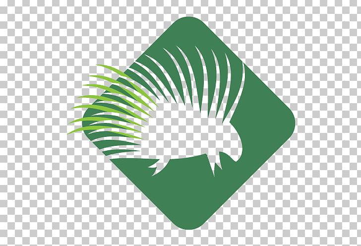 Park City Trail Series Leaf Logo Course PNG, Clipart, City, Course, Grass, Green, Leaf Free PNG Download