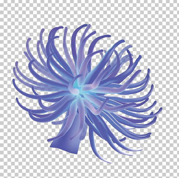 Sea Anemone Aquatic Plant PNG, Clipart, Blue, Blue Abstract, Blue Background, Blue Flower, Blue Pattern Free PNG Download
