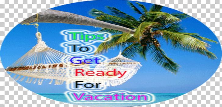 Package Tour Vacation Rental Travel Agent PNG, Clipart, Airline Ticket, Apartment, Caribbean, Car Rental, Desktop Wallpaper Free PNG Download