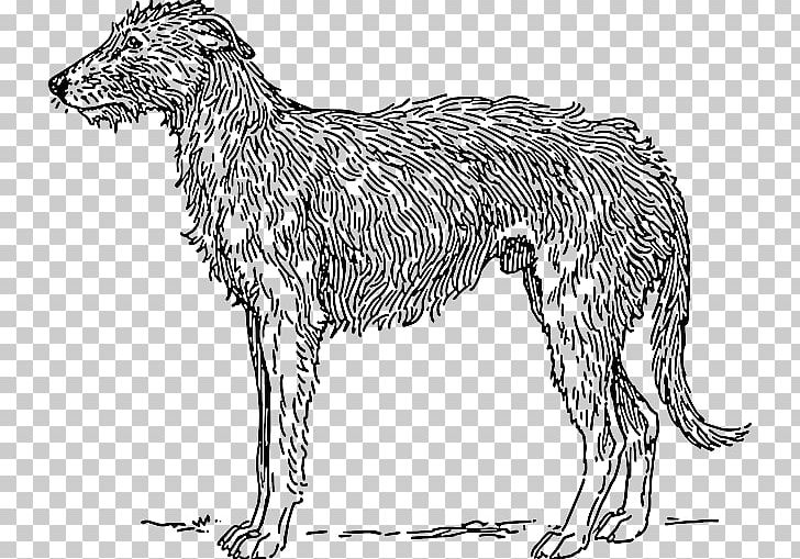 Scottish Deerhound Borzoi Basset Hound PNG, Clipart, American Staghound, Animal Figure, Basset Hound, Black And White, Borzoi Free PNG Download