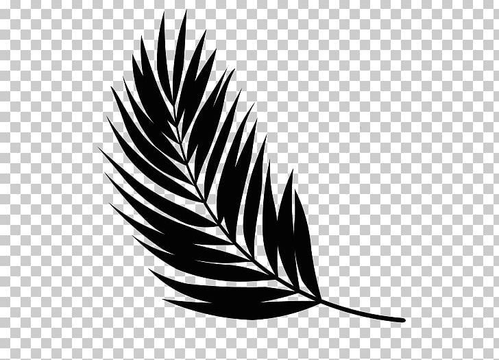 Feather Beak Leaf Noun Font PNG, Clipart, Beak, Bird, Black And White, Family, Feather Free PNG Download