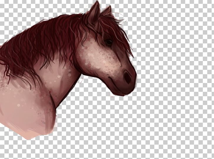 Mustang Stallion Halter Snout Rein PNG, Clipart, Character, Ear, Epe, Fictional Character, Hair Free PNG Download