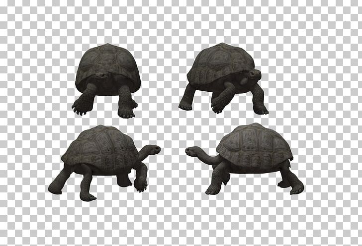 Tortoise Turtle Reptile PNG, Clipart, Animal, Big Stone, Crawl, Crawling, Decoration Free PNG Download