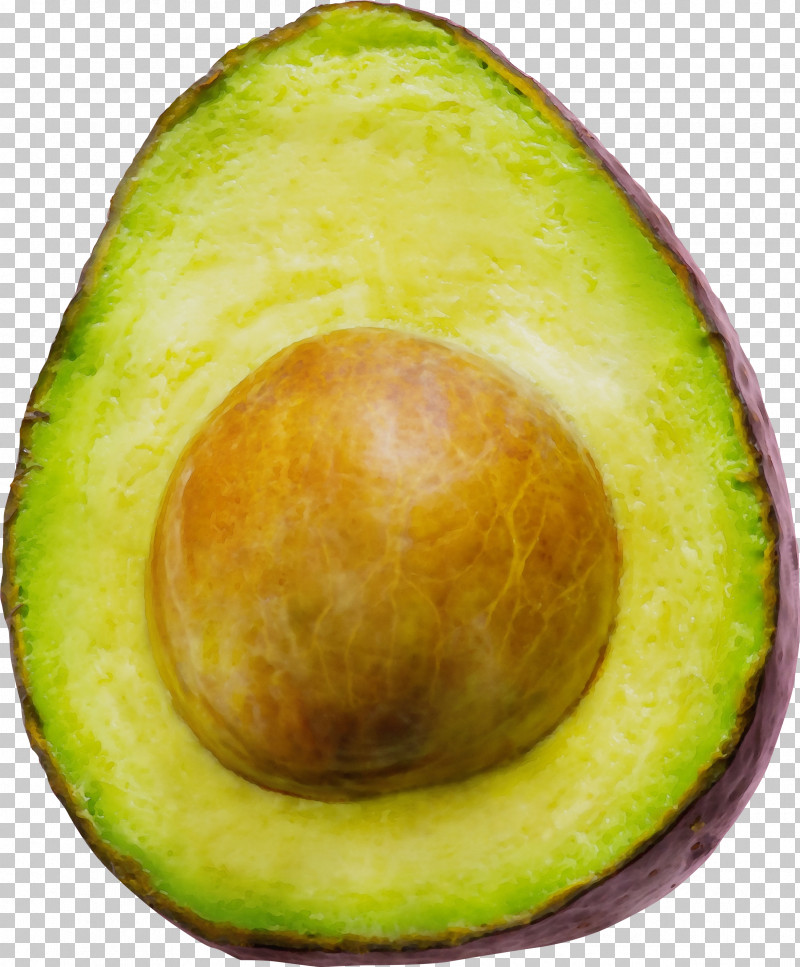 Avocado PNG, Clipart, Avocado, Closeup, Fruit, Paint, Superfood Free PNG Download