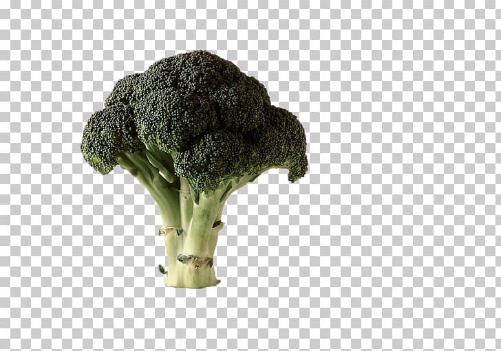 Chinese Broccoli Cauliflower Cabbage Vegetable PNG, Clipart, Brassica, Cabbage, Cabbage Family, Carotene, Cauliflower Free PNG Download