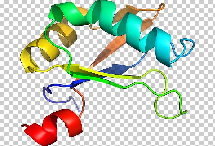 Line PNG, Clipart, Area, Art, Artwork, Line, Ribozyme Free PNG Download
