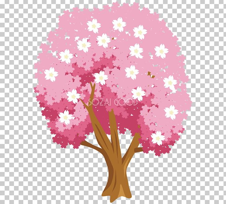 Cherry Blossom Floral Design Pink M PNG, Clipart, Blossom, Cherry, Cherry Blossom, Cherry Illustration, Flora Free PNG Download
