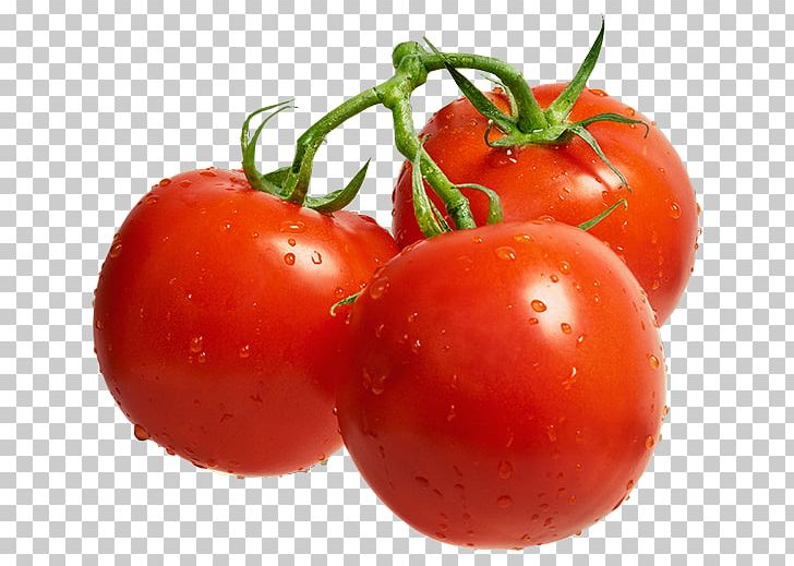 Cherry Tomato Lecsxf3 Cultivar Auglis Fruit PNG, Clipart, Auglis, Bush Tomato, Food, Fresh Salmon, Greenhouse Free PNG Download