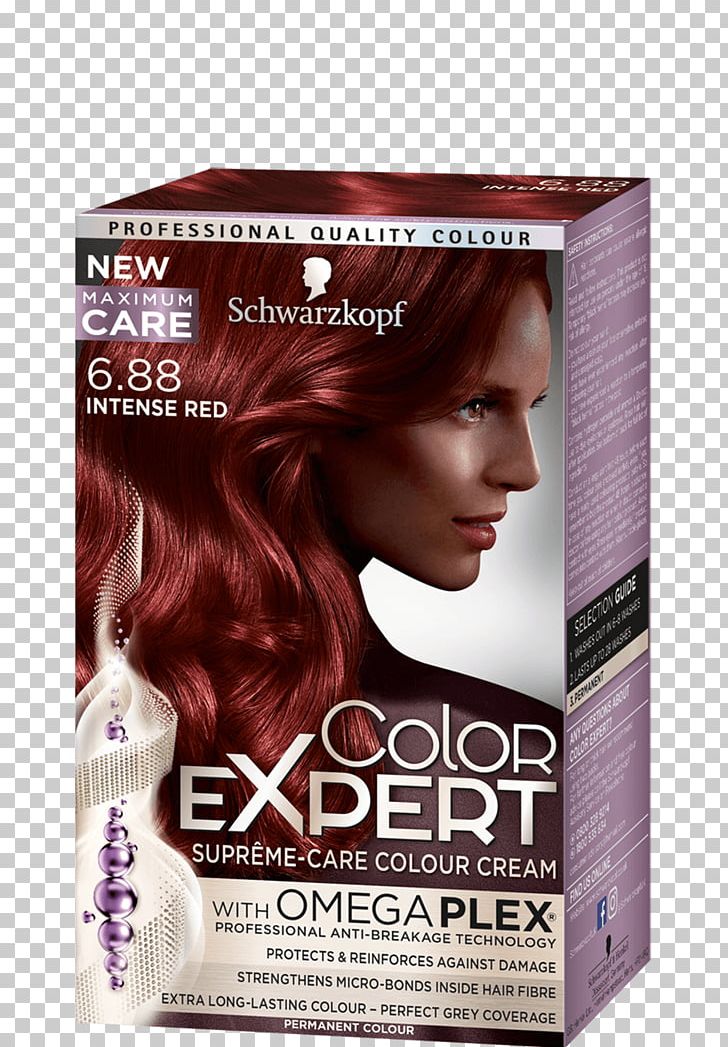 Hair Coloring Schwarzkopf Garnier PNG, Clipart, Auburn Hair, Beauty, Beauty Parlour, Brown, Brown Hair Free PNG Download
