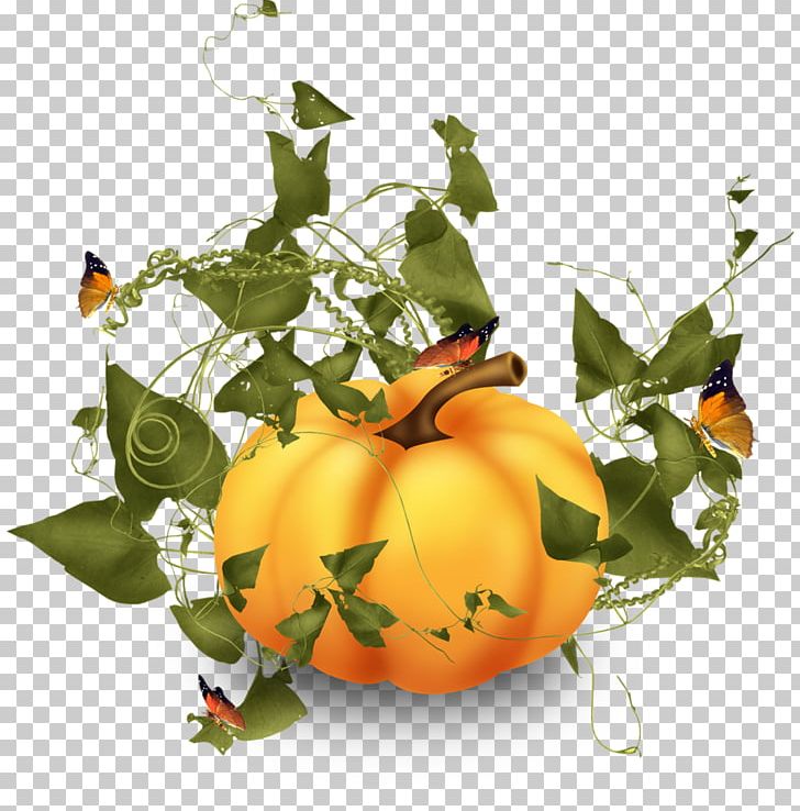Pumpkin Squash Vegetable PNG, Clipart, Autumn, Calabaza, Cucurbita, Floral Design, Floristry Free PNG Download