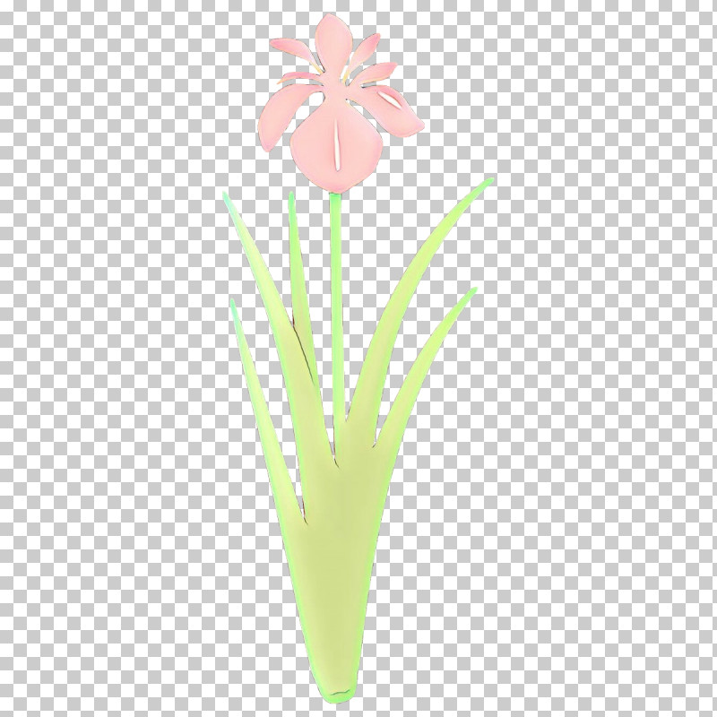 Flower Plant Petal Cut Flowers Pedicel PNG, Clipart, Cut Flowers, Flower, Flowerpot, Iris, Pedicel Free PNG Download