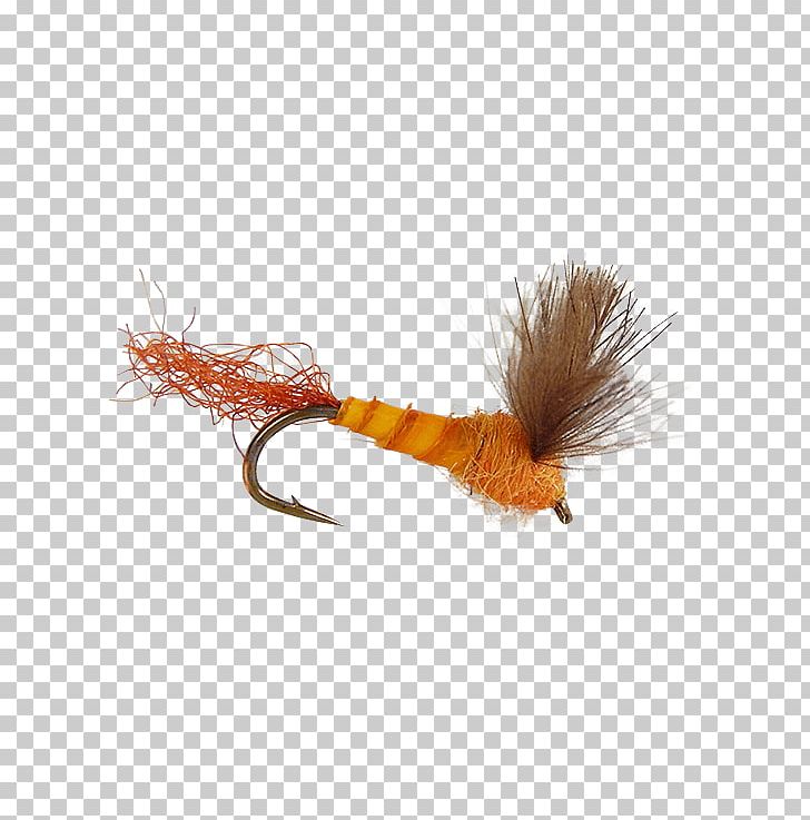 Centers For Disease Control And Prevention CDC Holly Flies 0 Stock Keeping Unit PNG, Clipart, Cdc, Fly Tying, Holly Flies, Orange, Pest Free PNG Download