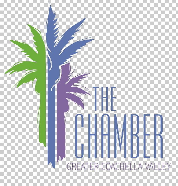 Coachella Rancho Mirage Palm Springs Desert Hot Springs Palm Desert PNG, Clipart, Arecales, Brand, Business, California, Cathedral City Free PNG Download