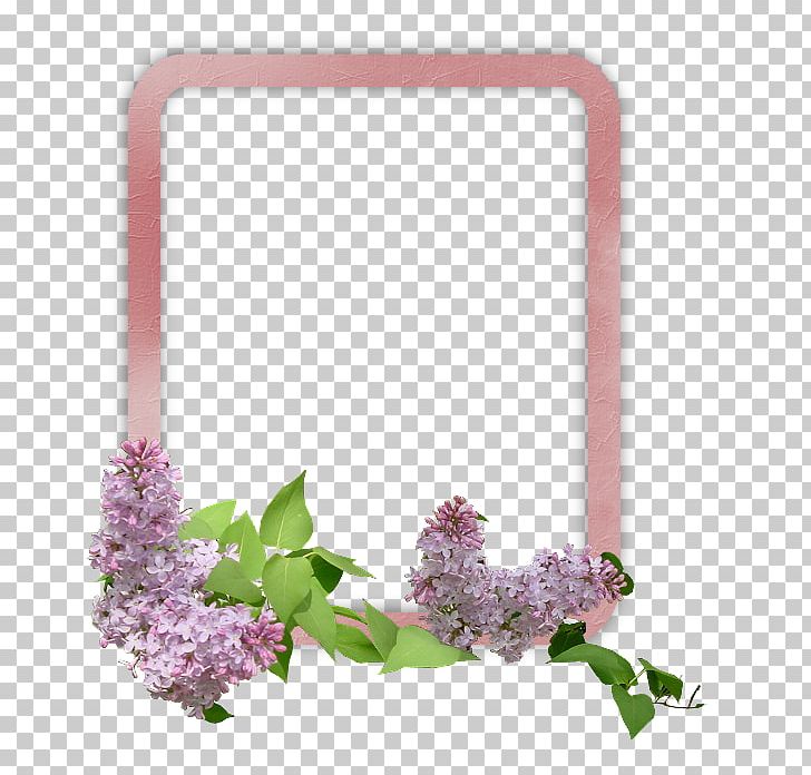 Flower PNG, Clipart, Box, Cerceve, Cerceveler, Cicekli Cerceve, Desktop Wallpaper Free PNG Download