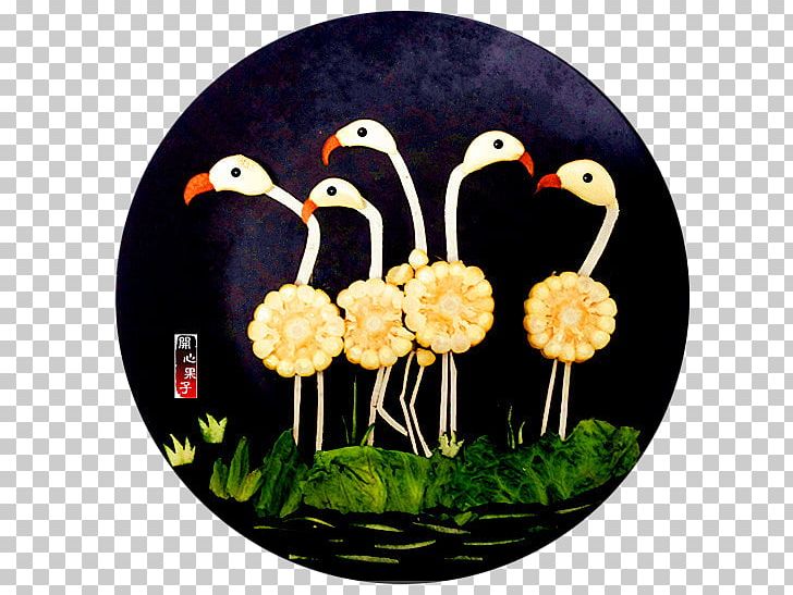 Disk Circle PNG, Clipart, Adobe Illustrator, Animals, Background Black, Bird, Black Free PNG Download