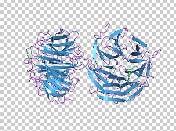 WD40 Repeat WDR5 Gene /m/02csf PNG, Clipart, 6 K, Art, Blue, Drawing, Electric Blue Free PNG Download