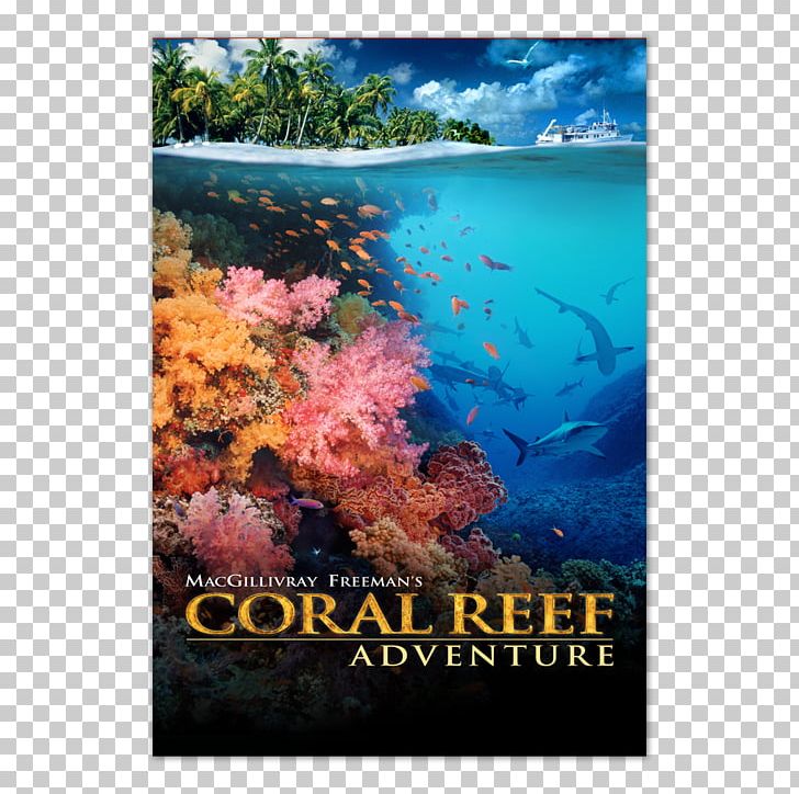 Coral Reef IMAX Documentary Film PNG, Clipart, Amazon Video, Coral, Coral Reef, Coral Reef Fish, Documentary Film Free PNG Download