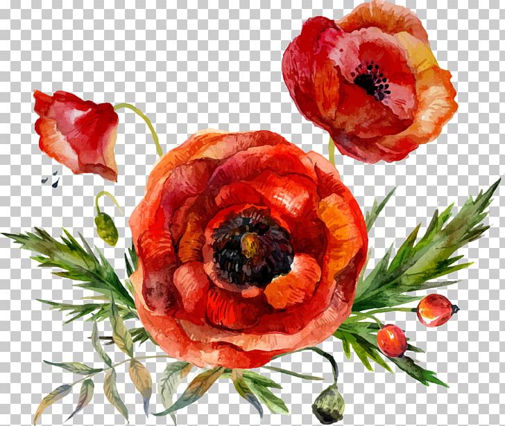 Flower Poppy Watercolor Painting PNG, Clipart, Decoration, Decorative Patterns, Download, Encapsulated Postscript, Flower Pattern Free PNG Download