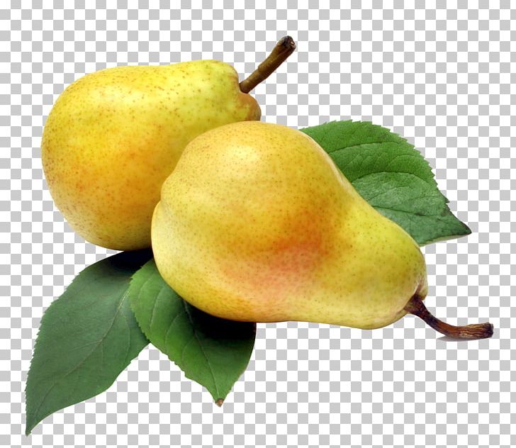 Rakia Slatko Williams Pear Fruit PNG, Clipart, Apple, Apple Pears, Auglis, Cultivar, Flavor Free PNG Download