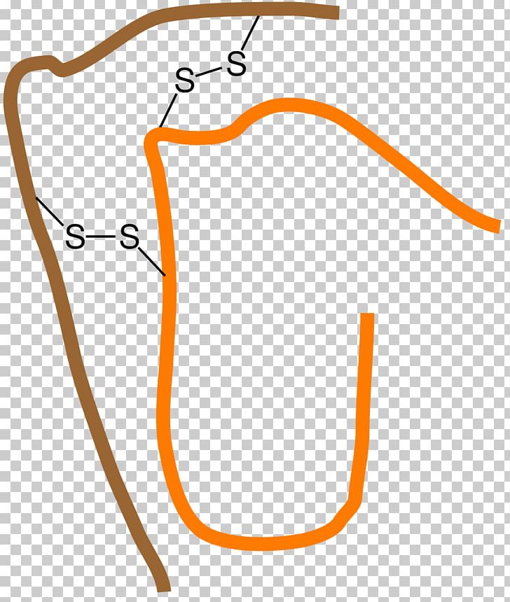 Bond Deusylffid Interchenar Disulfide Biochemistry PNG, Clipart, Acetylcysteine, Angle, Area, Biochemistry, Bond Deusylffid Free PNG Download