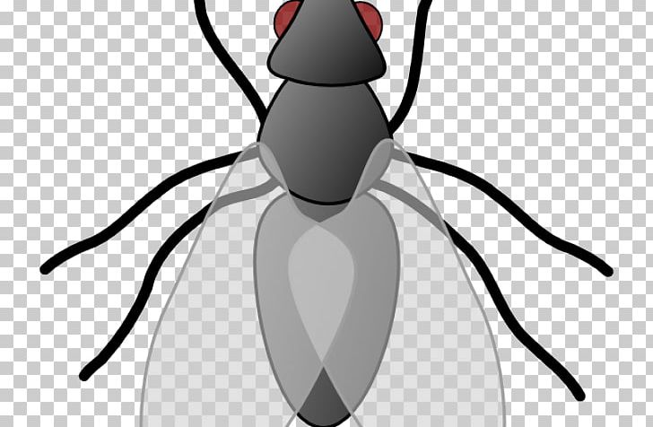 Insect Graphics Fly Mosquito PNG, Clipart, Animals, Arthropod, Artwork, Black And White, Computer Icons Free PNG Download