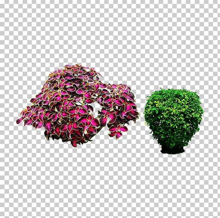 Landscape Plant PNG, Clipart, Castle, Christmas Tree, Computer Graphics, Cutout, Download Free PNG Download