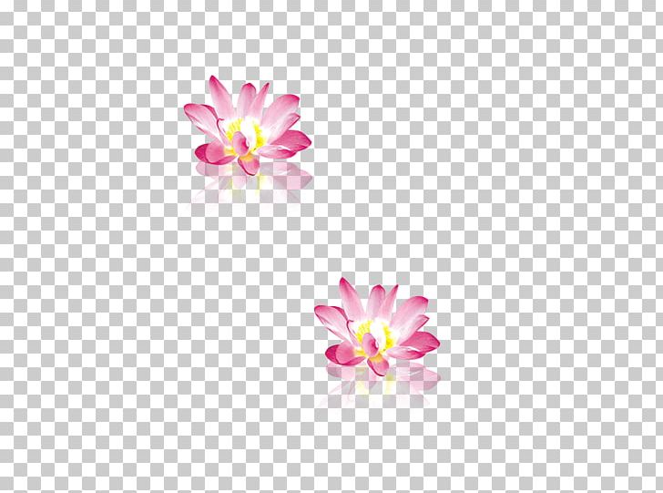 Pink Nelumbo Nucifera PNG, Clipart, Dahlia, Encapsulated Postscript, Flora, Floral Design, Floristry Free PNG Download