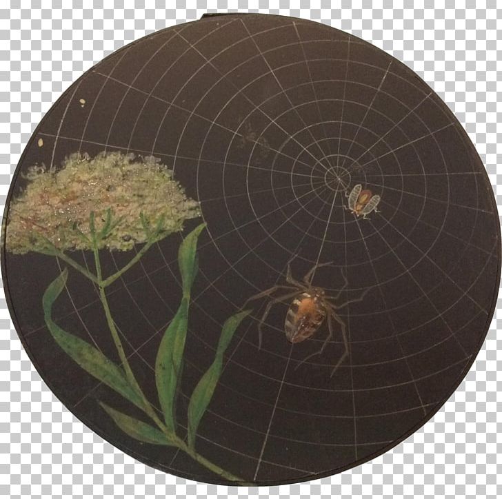 Spider Web Invertebrate Circle PNG, Clipart, Circle, Insects, Invertebrate, Spider, Spider Web Free PNG Download