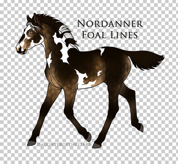 Stallion Foal Mustang Mare Colt PNG, Clipart, Ata Airlines, Bay, Bridle, Buckskin, Colt Free PNG Download