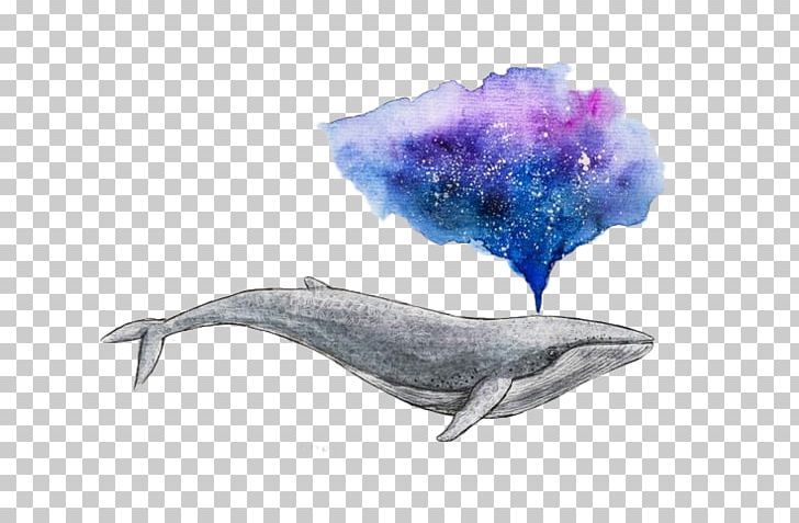 Watercolor Painting Drawing Whale Art PNG, Clipart, Animals, Art, Color, Creative Design, Fauna Free PNG Download