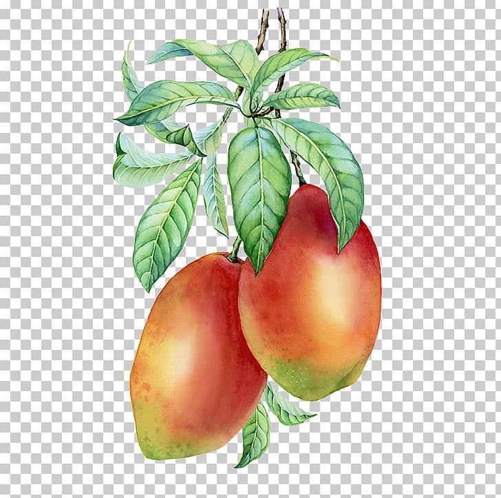 Common Fig Painting PNG, Clipart, Auglis, Bunch, Bunch Of Flowers, Citrus, Diet Food Free PNG Download