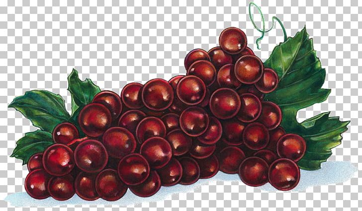 Grape Zante Currant Wine Fruit PNG, Clipart, Auglis, Berry, Cherry, Computer, Cranberry Free PNG Download